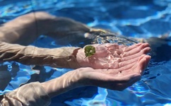 日本免费无限吗2021芒果软件